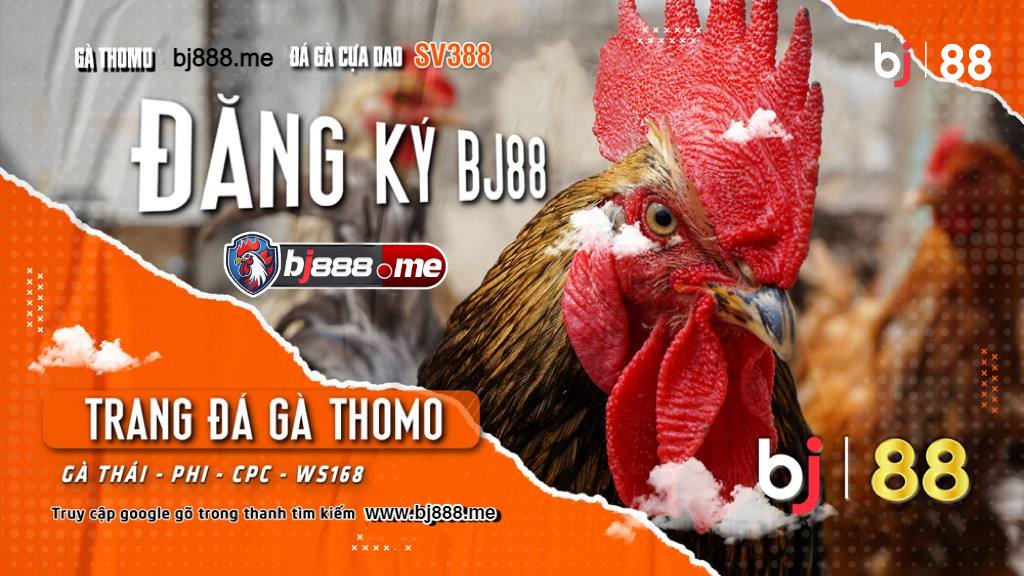 ĐÁ GÀ TRỰC TIẾP SV388 - đá gà thomo uy tín nhất Việt Nam 3 đăng ky bj88
