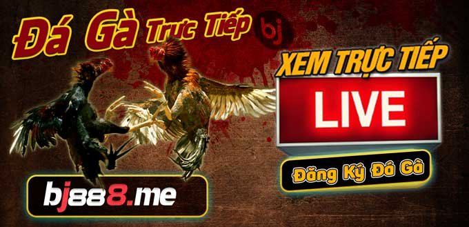 #BJ88 VÀ ĐÓ BJ88 ĐÁ GÀ - TRANG ĐỘC QUYỀN DUY NHẤT TẠI BJ888.ME