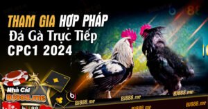 Tham Gia Hop Phap Tai Bj88