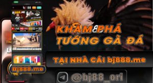 đá gà bj88