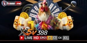 photo 2024 06 19 13 44 08