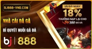 Bí quyết nuôi gà đá khoẻ