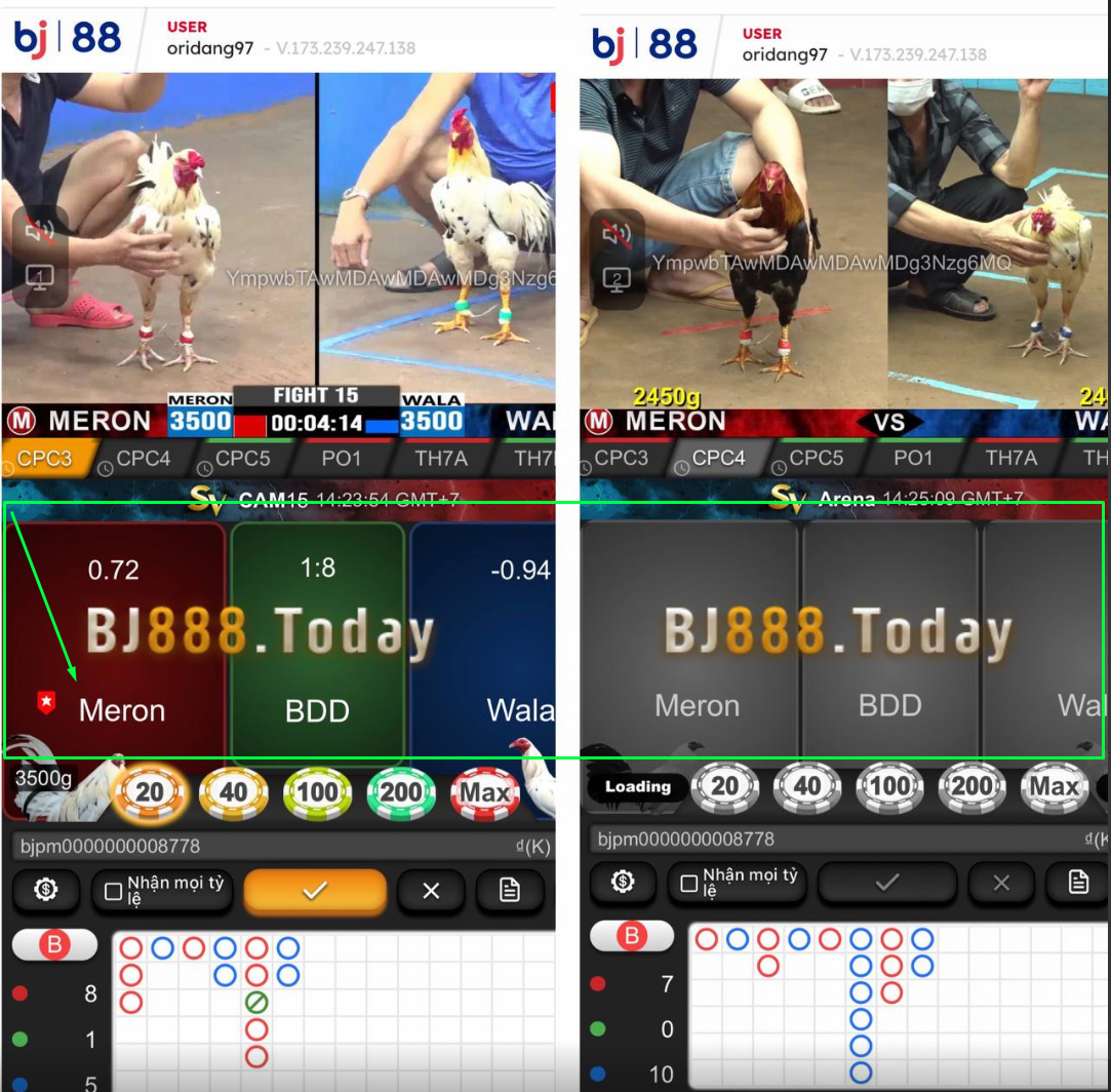 Hướng Dẫn Cá Cược Đá Gà Trực Tuyến Tại BJ88 - Nơi Đáng Tin Cậy Số 1 Tại Việt Nam 5 lựa chọn cửa đặt cược theo dự đoán của mình