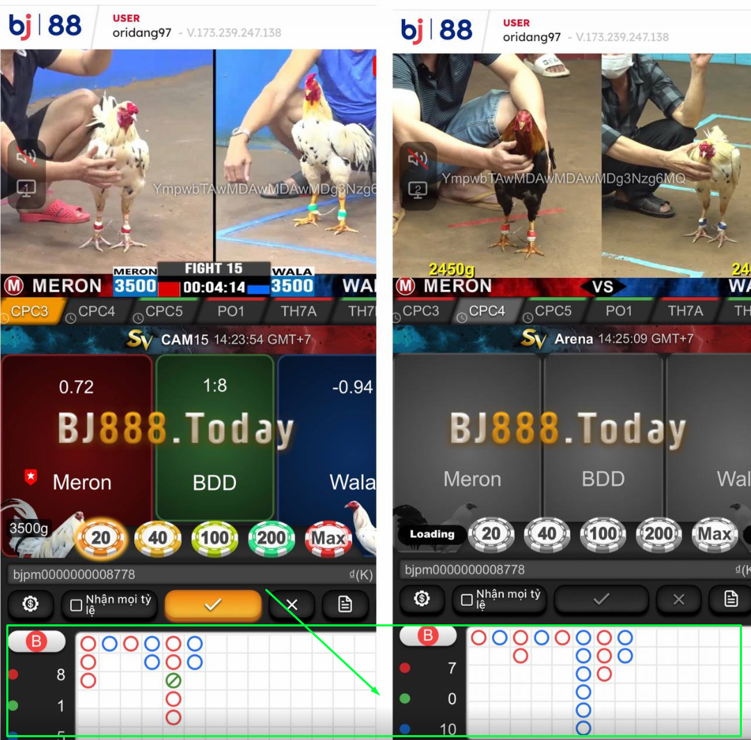 Hướng Dẫn Cá Cược Đá Gà Trực Tuyến Tại BJ88 - Nơi Đáng Tin Cậy Số 1 Tại Việt Nam 7 theo dõi kết quả của trận đấu