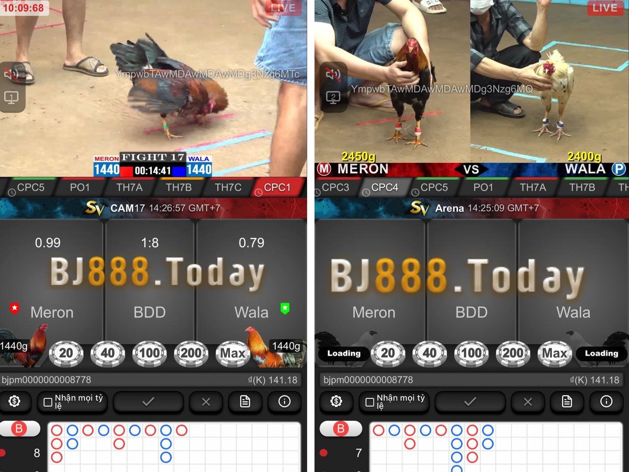 Hướng Dẫn Cá Cược Đá Gà Trực Tuyến Tại BJ88 - Nơi Đáng Tin Cậy Số 1 Tại Việt Nam 1 Theo dõi trận đấu với giao diện bắt mắt