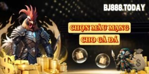 xem màu mạng cho gà