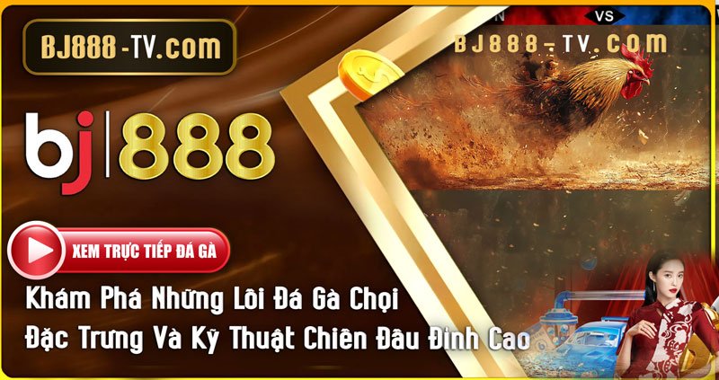 Khám Phá Những Lối Đá Gà Chọi Đặc Trưng tại BJ888