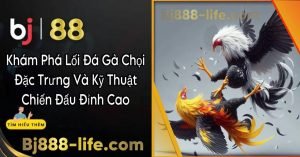 Khám phá lói đá gà chọi đặc trưng và ký thuật chiến đấu đỉnh cao