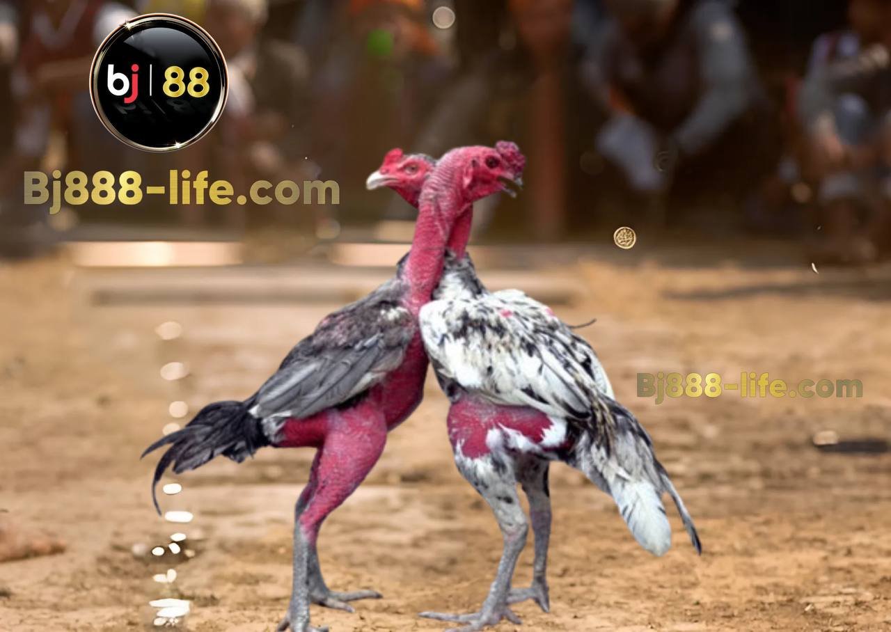 Lối đá ôm đấm 