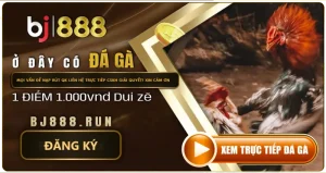 BJ888 NHÀ CÁI UY TÍN NĂM 2025 TOP 1 TRANG ĐÁ GÀ HOT