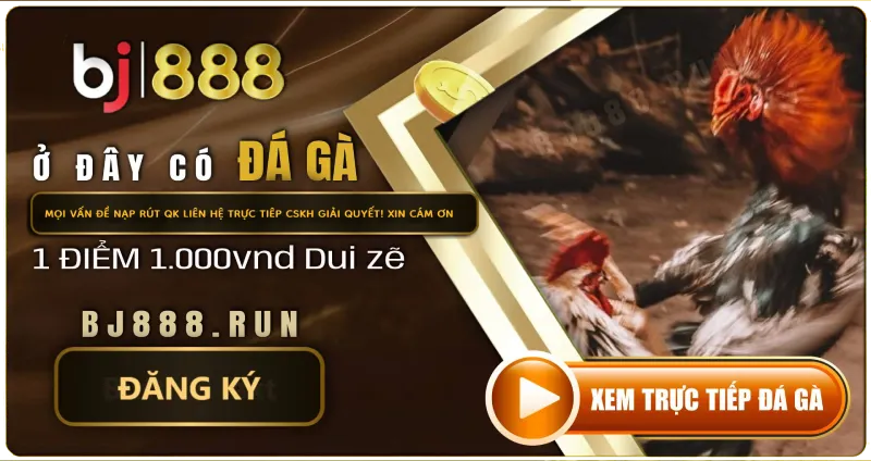 BJ888 NHÀ CÁI UY TÍN NĂM 2025 TOP 1 TRANG ĐÁ GÀ HOT