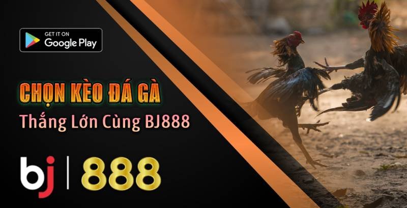 Chọn Kèo Đá Gà 2025_ Thắng Lớn Cùng BJ888