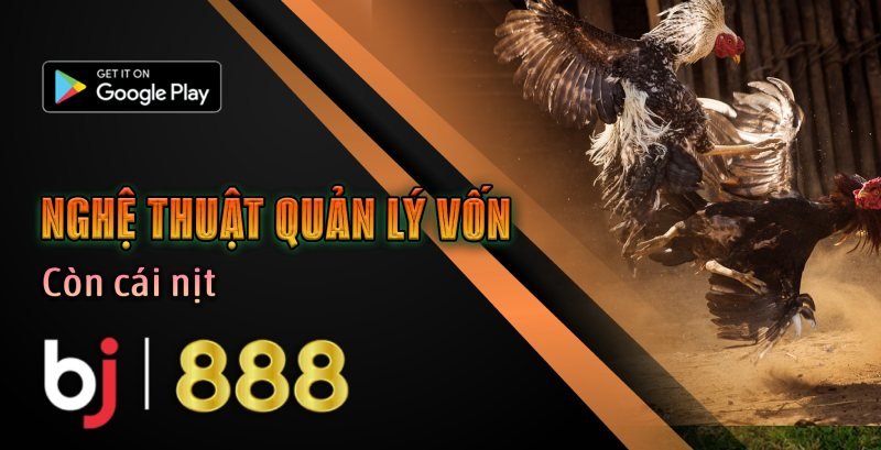 Nghệ Thuật Quản Lý Vốn - BJ888