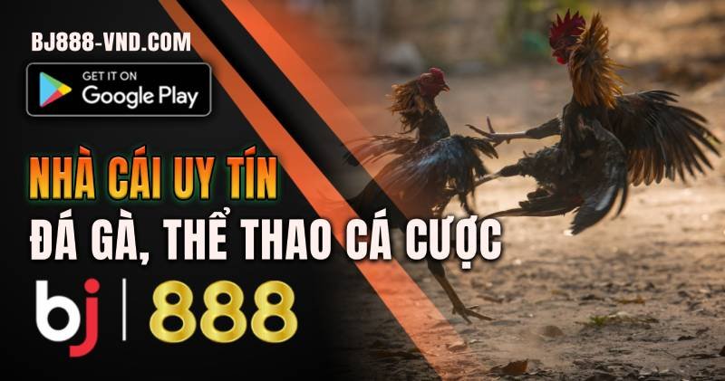 BJ888 Đăng nhập 4 Đăng nhập xem đá gà, các cược thể thao BJ888