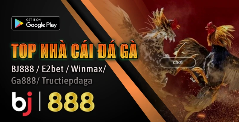 Khuyến mãi hoàn trả đá gà tại bj888