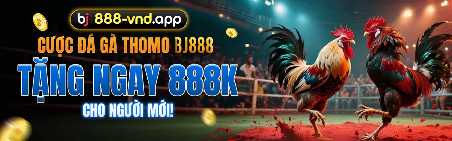 Đá Gà Trực Tiếp - BJ888