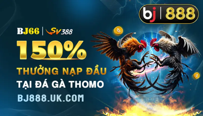 Kham-pha-nha-cai-bj66