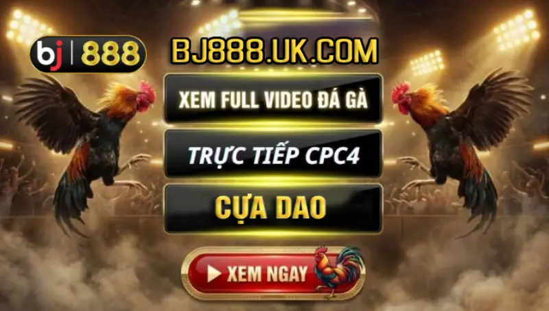 Bồ gà Tonhon 2 Trực tiếp gà cựa dao Tonhon